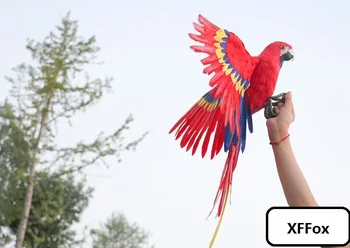 kūrybos realaus gyvenimo sparnai parrot modelis putų&plunksnų red parrot modelis dovana, apie 45x60cm d0172
