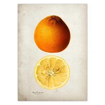 Šviežių Vaisių Rinka Pasirašyti Mandarinų, Apelsinų Metalo Skardos Ženklas, 8x12 Colių Retro Ūkio Ekologiški Vaisiai Namų Virtuvėje Baras, Užeiga Sienų Dekoras